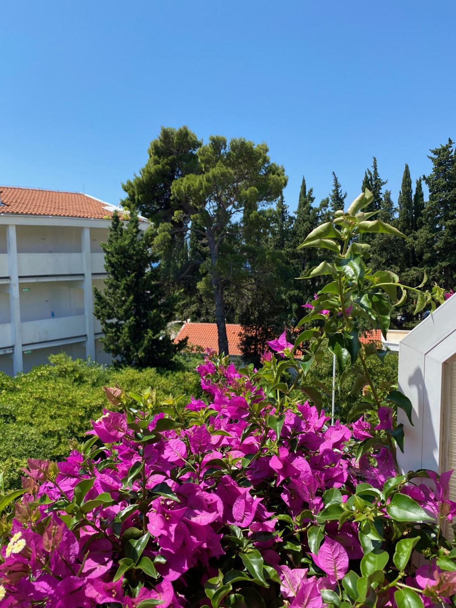 Apartmani Dusanka Orebic Exterior photo